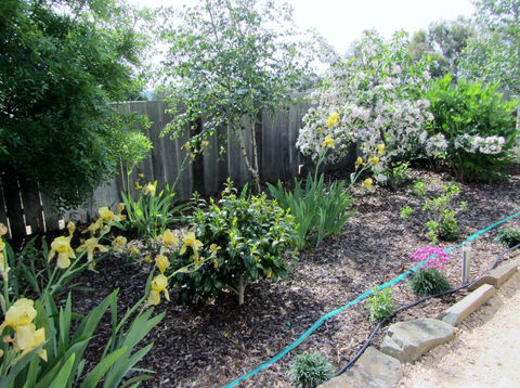 Elm Trees Accommodation @ Ross - Northern Rivers Accommodation 6