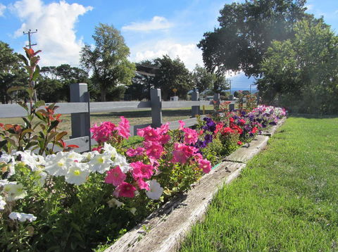 Elm Trees Accommodation @ Ross - Northern Rivers Accommodation 24