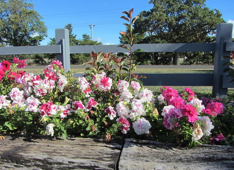 Elm Trees Accommodation @ Ross - Northern Rivers Accommodation 25