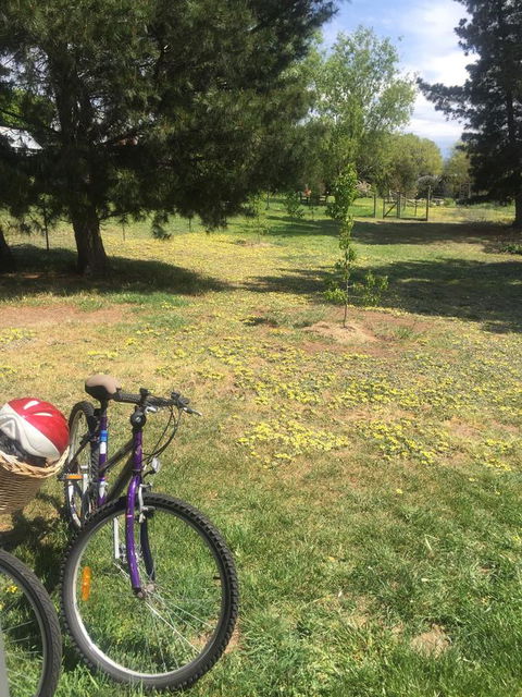 White Croft Cottage - Northern Rivers Accommodation 3