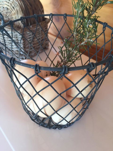 White Croft Cottage - Northern Rivers Accommodation 8