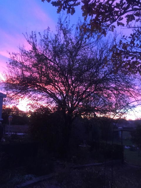 White Croft Cottage - Northern Rivers Accommodation 2