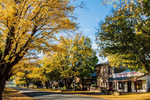 White Croft Cottage - Northern Rivers Accommodation 22