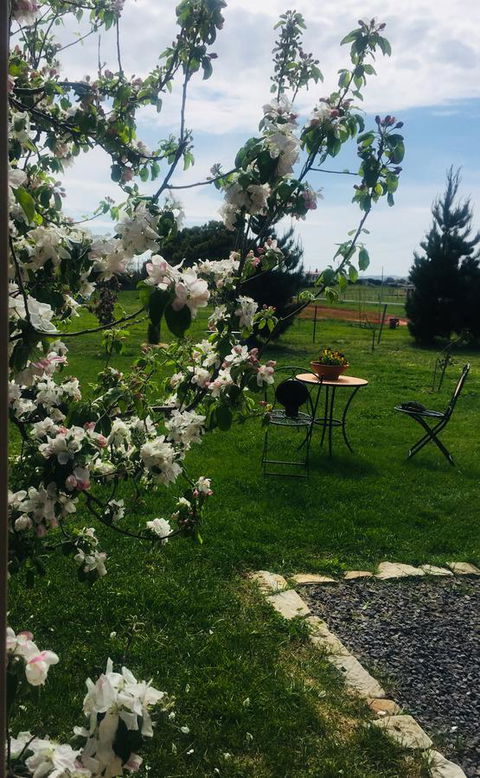 White Croft Cottage - Northern Rivers Accommodation 4