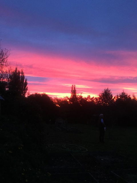 White Croft Cottage - Northern Rivers Accommodation 1