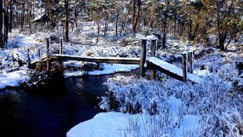 Cradle Mountain Love Shack - Northern Rivers Accommodation 10