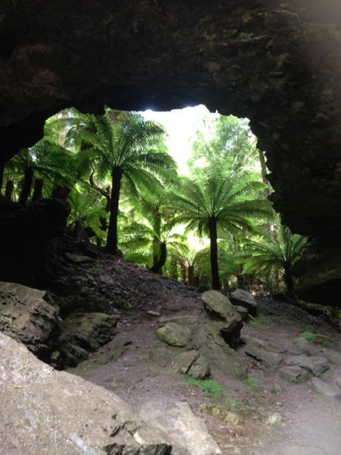 Sheer Pleasure Accommodation - Northern Rivers Accommodation 21