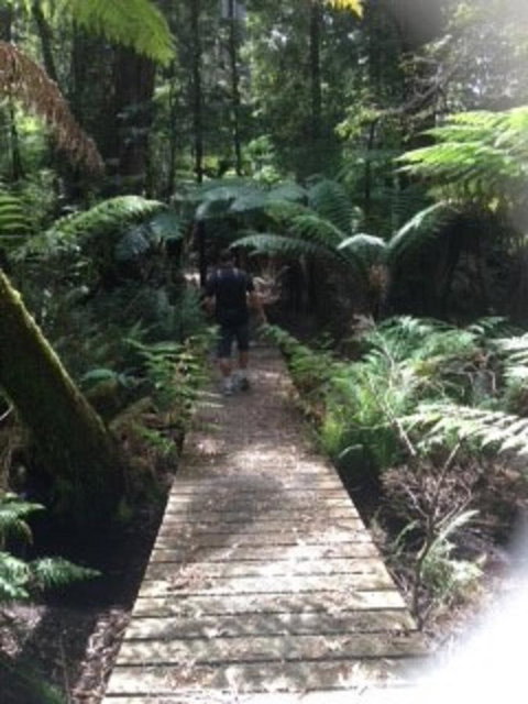 Sheer Pleasure Accommodation - Northern Rivers Accommodation 23