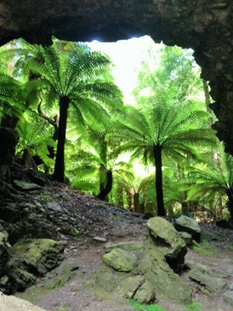 Sheer Pleasure Accommodation - Northern Rivers Accommodation 22