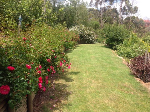 Sheer Pleasure Accommodation - Northern Rivers Accommodation 7