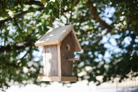 Old White Church Bed & Breakfast - Northern Rivers Accommodation 31