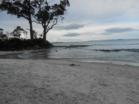 Bruny Ocean Cottage - Northern Rivers Accommodation 7