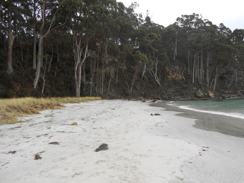 Bruny Ocean Cottage - Northern Rivers Accommodation 12