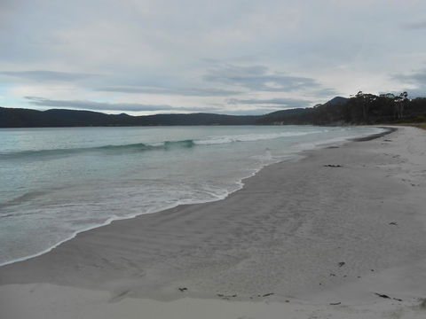 Bruny Ocean Cottage - Northern Rivers Accommodation 11