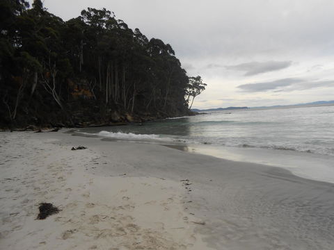 Bruny Ocean Cottage - Northern Rivers Accommodation 17