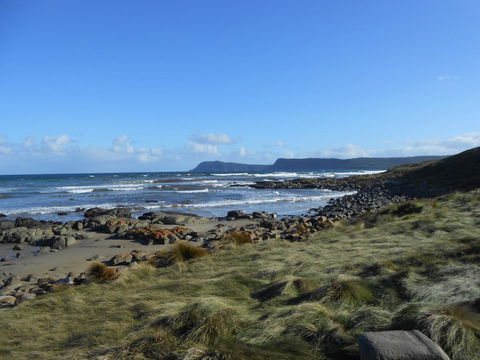 Bruny Ocean Cottage - Northern Rivers Accommodation 15