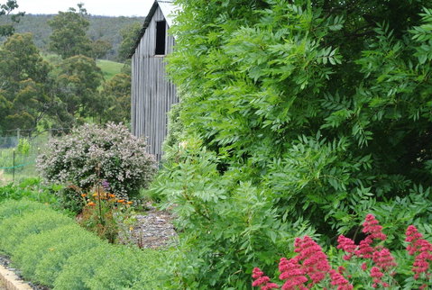 Hamlet Downs Country Accommodation - Northern Rivers Accommodation 19
