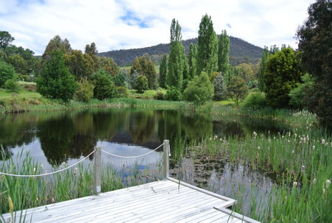 Hamlet Downs Country Accommodation - Northern Rivers Accommodation 12