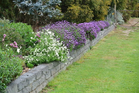 Hamlet Downs Country Accommodation - Northern Rivers Accommodation 14