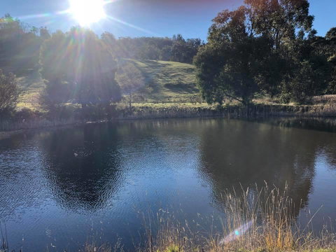 Hamlet Downs Country Accommodation - Northern Rivers Accommodation 8