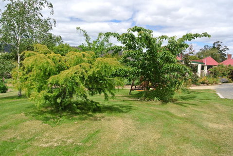 Hamlet Downs Country Accommodation - Northern Rivers Accommodation 21