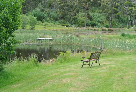 Hamlet Downs Country Accommodation - Northern Rivers Accommodation 0