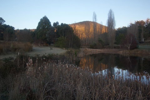 Hamlet Downs Country Accommodation - Northern Rivers Accommodation 25