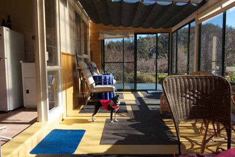 Hamlet Downs Country Accommodation - Northern Rivers Accommodation 33