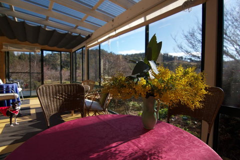 Hamlet Downs Country Accommodation - Northern Rivers Accommodation 41