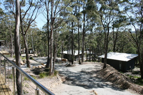Craggy Peaks Wilderness Cabins - Northern Rivers Accommodation 22