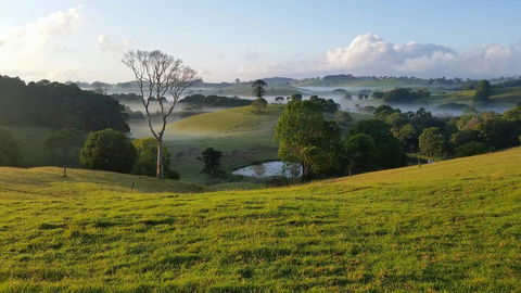 Newyan @ Maleny - Northern Rivers Accommodation 3