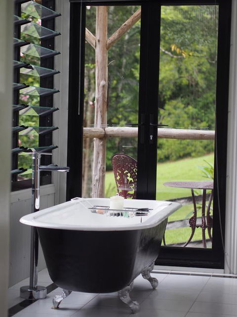 Nightcap Ridge - Byron Bay Hinterland - Northern Rivers Accommodation 3
