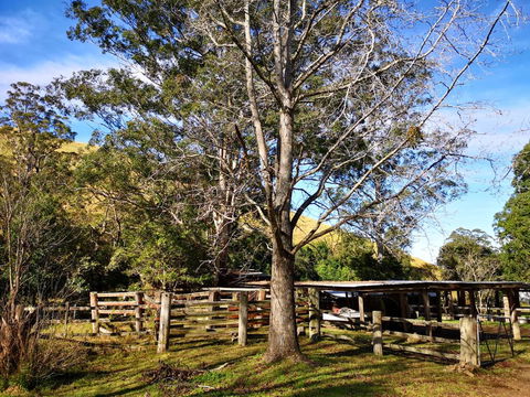 Nirvana Spiritual Retreat - Northern Rivers Accommodation 1