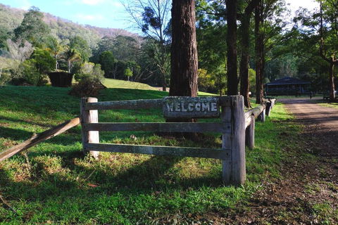 Nirvana Spiritual Retreat - Northern Rivers Accommodation 0