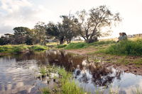 Northbrook Farmstay
