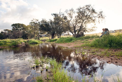 Northbrook Farmstay - Northern Rivers Accommodation 0