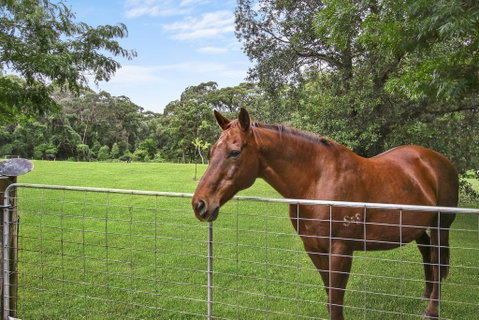 NUNGAROO COTTAGE - Northern Rivers Accommodation 3