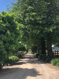 Book Whorouly Accommodation Vacations Northern Rivers Accommodation Northern Rivers Accommodation
