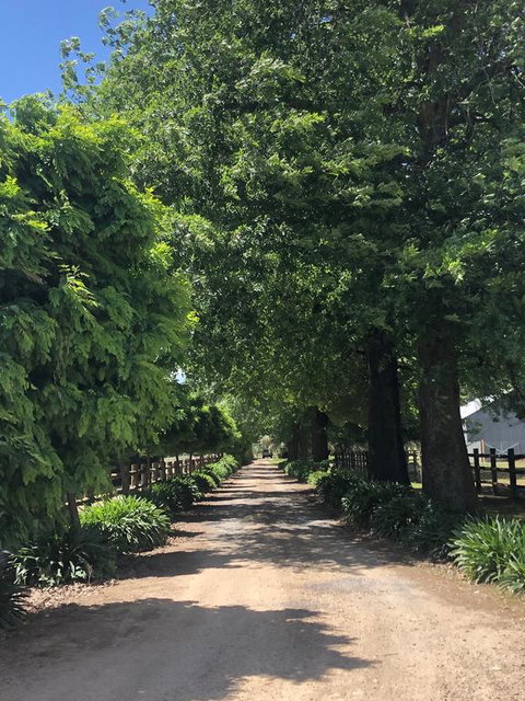 Oak Lane Guest House & Farm Stay - Northern Rivers Accommodation 0