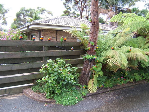 Ocean Drive Apartments - Northern Rivers Accommodation 3