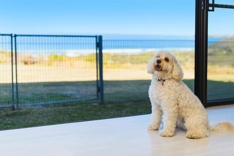 Ocean Paradise - Northern Rivers Accommodation 2