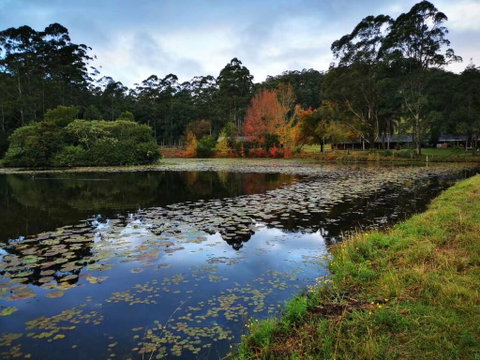 OCT Forest Lodge - Northern Rivers Accommodation 2