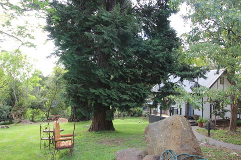Olinda Country Cottages - Northern Rivers Accommodation 0
