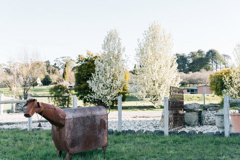 Omaroo - Northern Rivers Accommodation 2