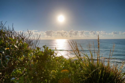 Osprey - Sapphire Beach NSW - Northern Rivers Accommodation 2