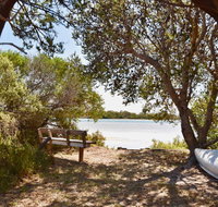 Oystercatcher - On the banks of the lagoon - Northern Rivers Accommodation