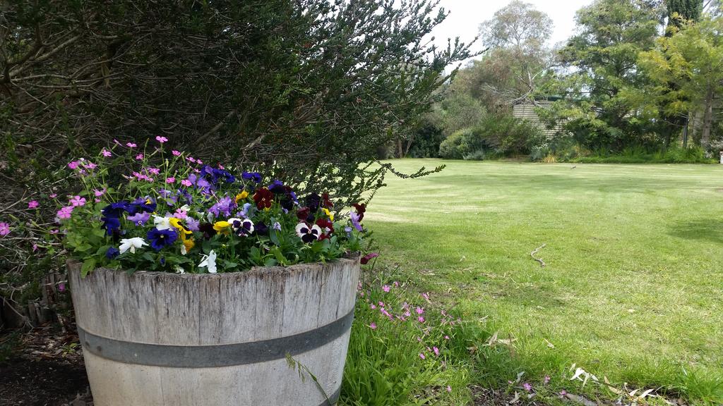Padthaway SA Northern Rivers Accommodation