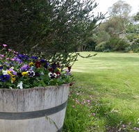 Padthaway Caravan Park - Northern Rivers Accommodation