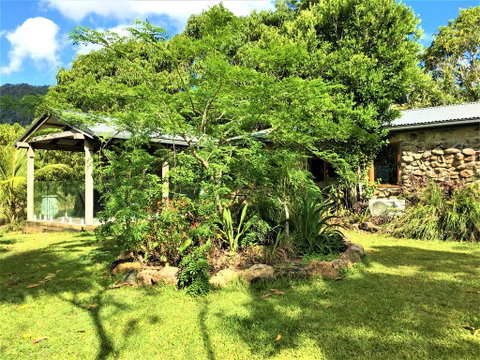Palm Grove Rainforest Retreat - Northern Rivers Accommodation 2