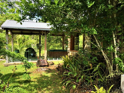 Palm Grove Rainforest Retreat - Northern Rivers Accommodation 3